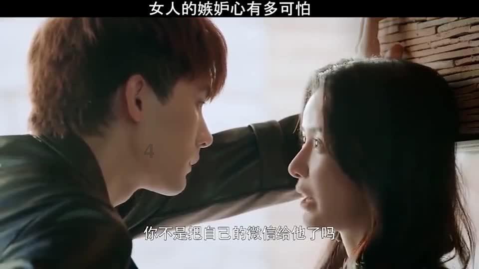 白莲花守则