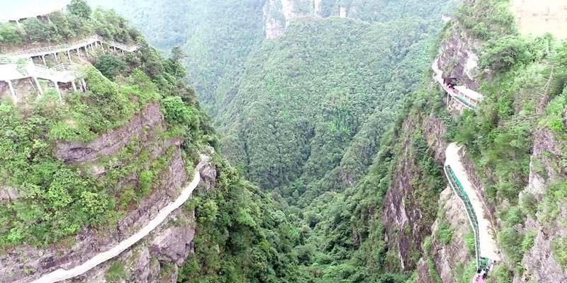 逃出猫头鹰岛